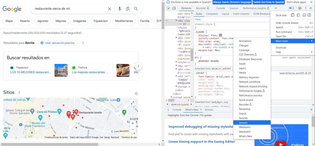 paso 4 para geolocalizar busquedas en google